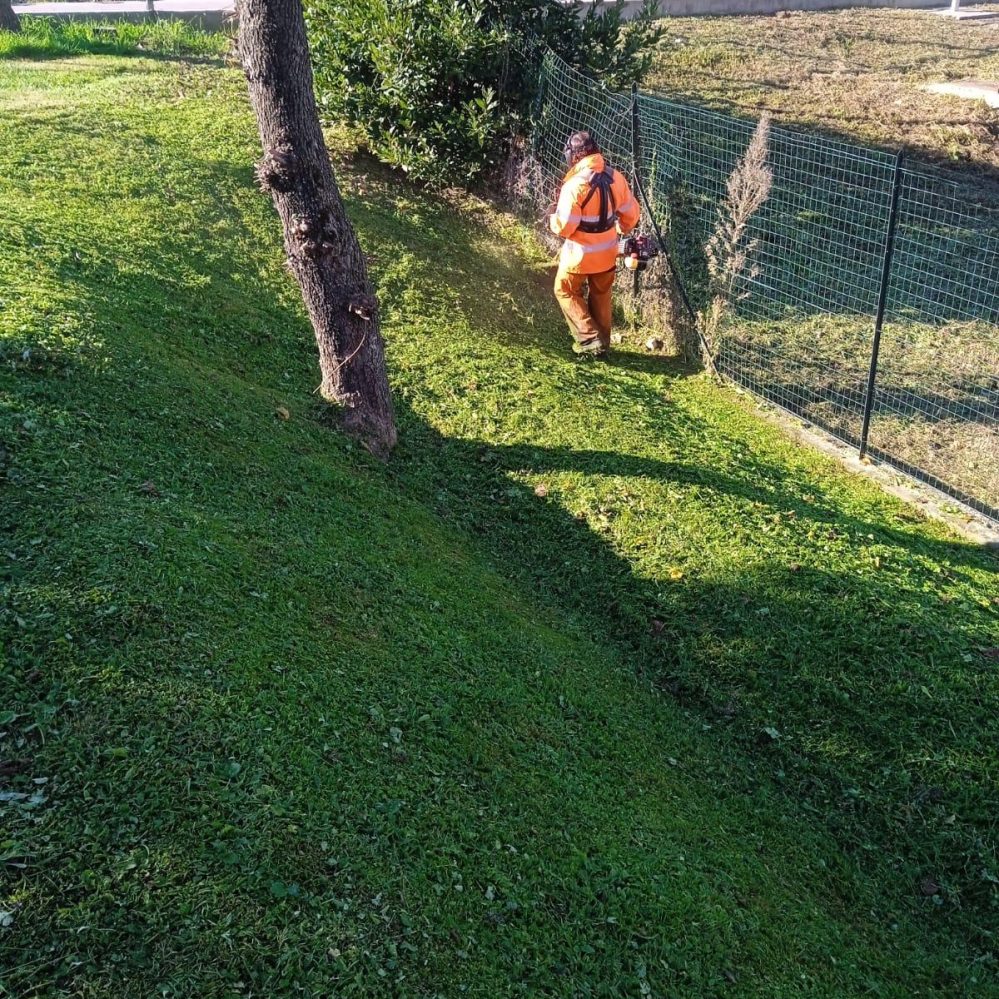 operatore